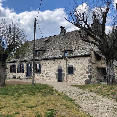 Maison Typique Auvergnate, Piscine Et Four A Pain Saint-Christophe-Les-Gorges Exterior photo