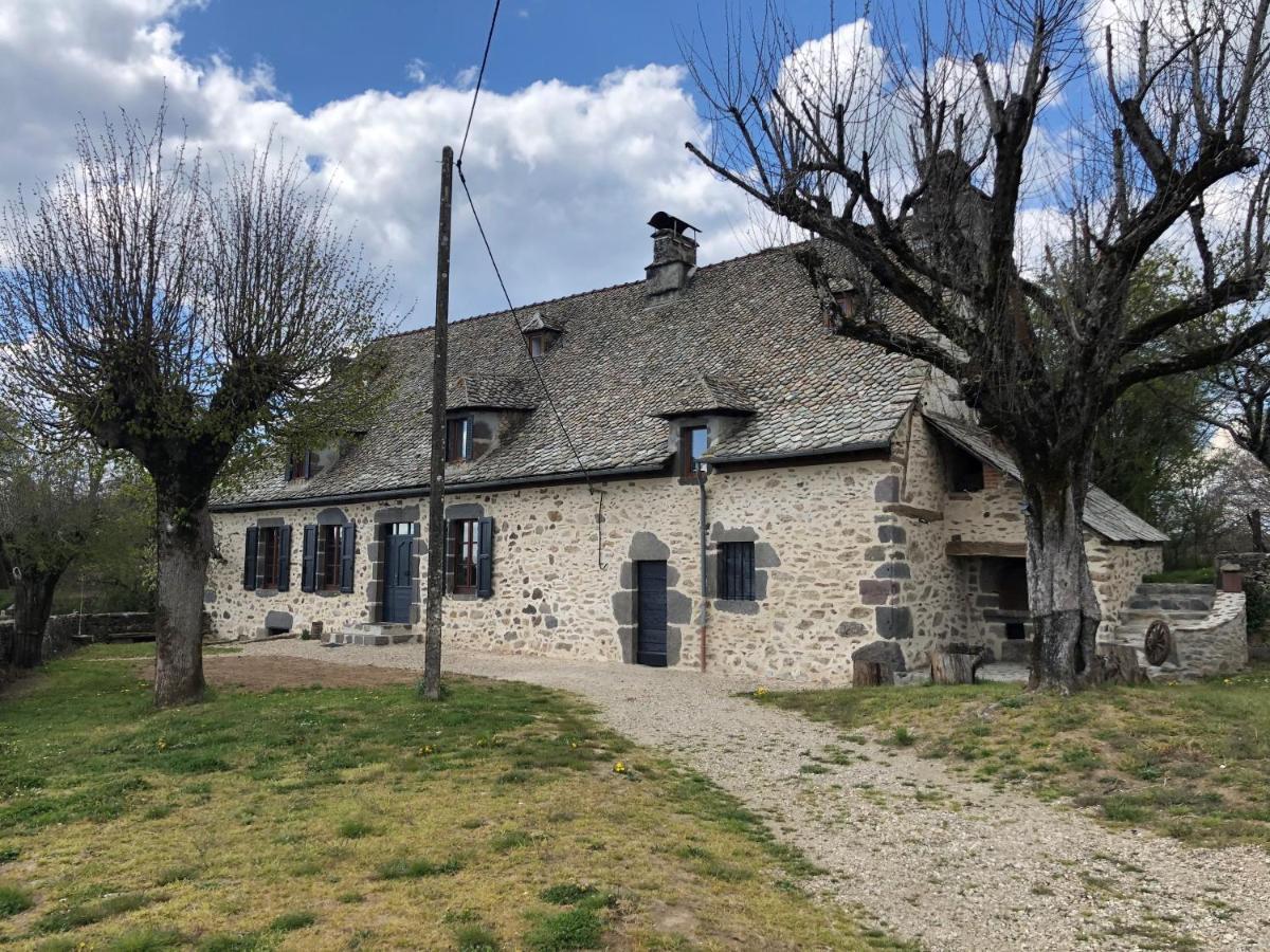 Maison Typique Auvergnate, Piscine Et Four A Pain Saint-Christophe-Les-Gorges Exterior photo