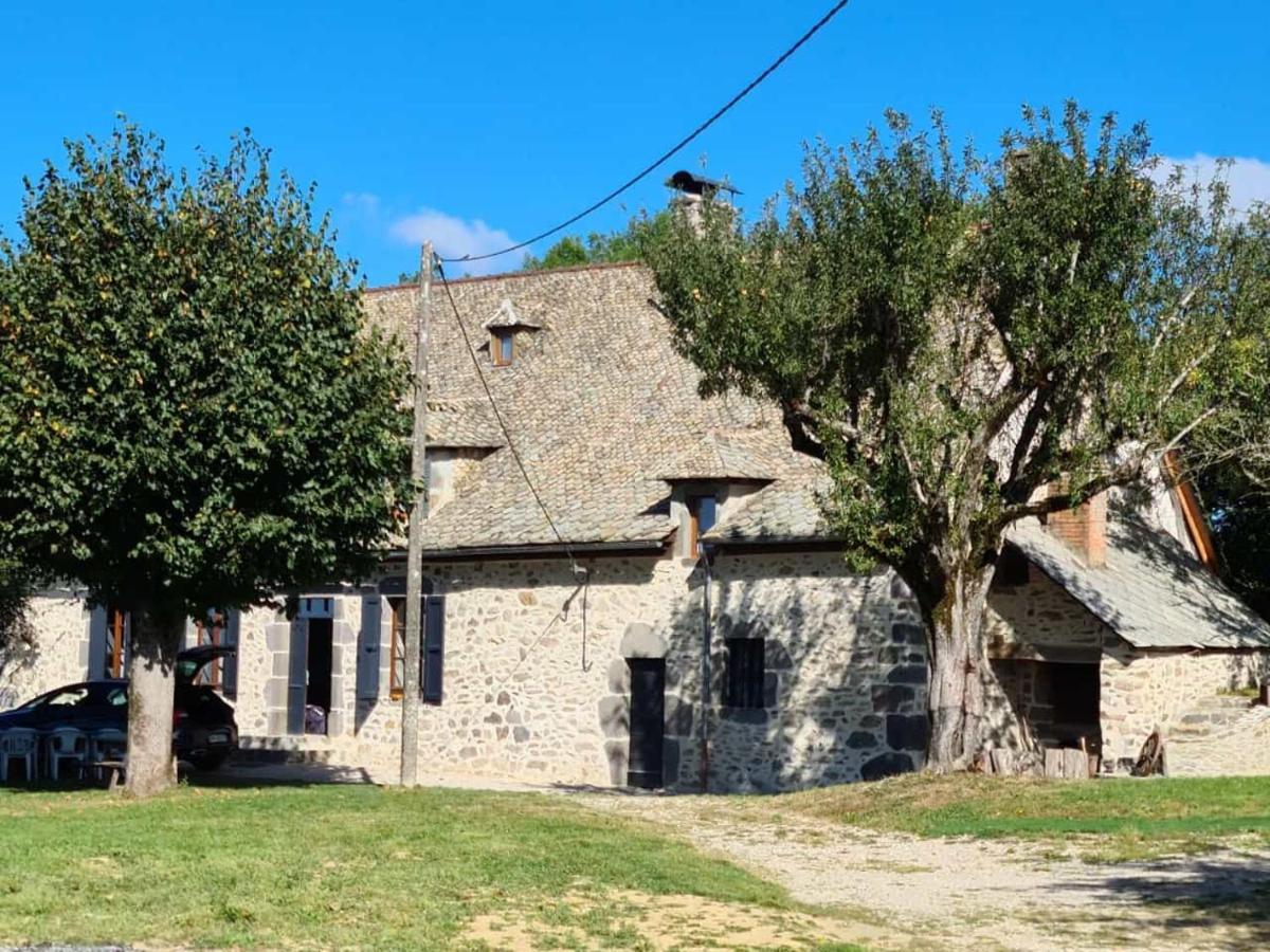 Maison Typique Auvergnate, Piscine Et Four A Pain Saint-Christophe-Les-Gorges Exterior photo