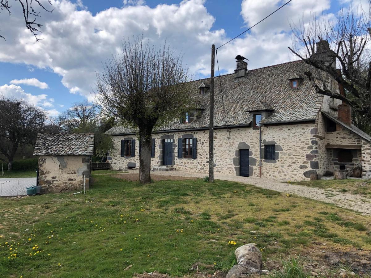 Maison Typique Auvergnate, Piscine Et Four A Pain Saint-Christophe-Les-Gorges Exterior photo