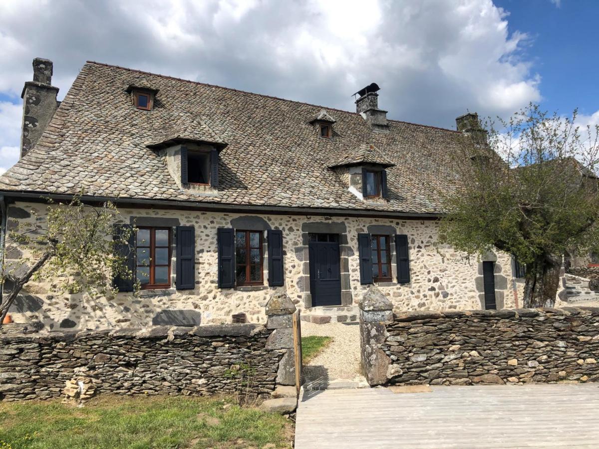 Maison Typique Auvergnate, Piscine Et Four A Pain Saint-Christophe-Les-Gorges Exterior photo